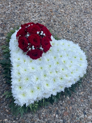 Red Roses Foliage Edge Tribute