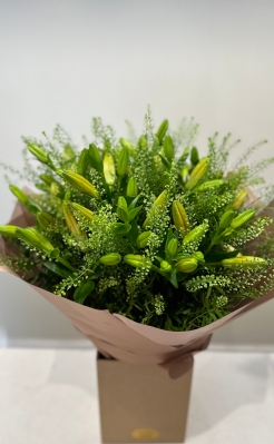 Orange Lilies x Penny Cress