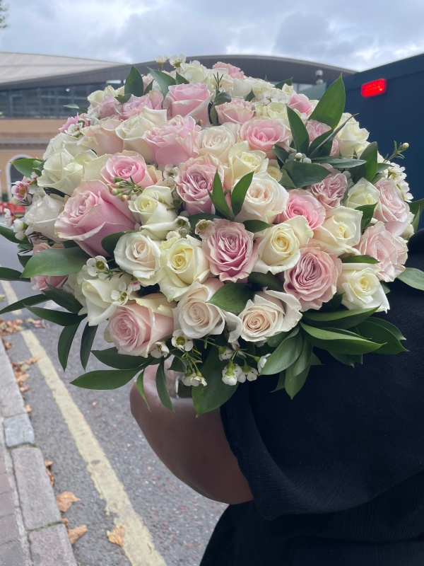 Strawberries and Cream Roses