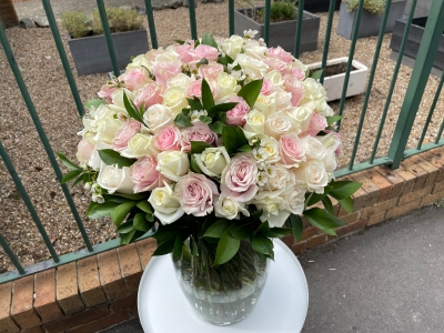 Strawberries and Cream Roses