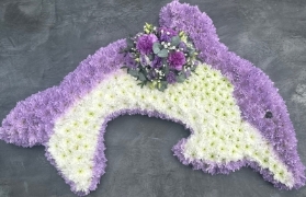 Dolphin Tribute
