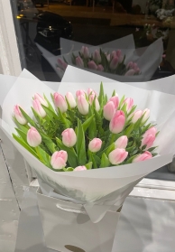 All Pink Tulip Bouquet