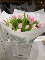 All Pink Tulip Bouquet
