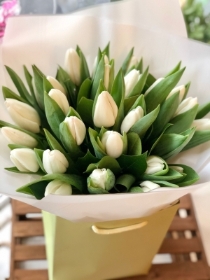 All white tulip bouquet