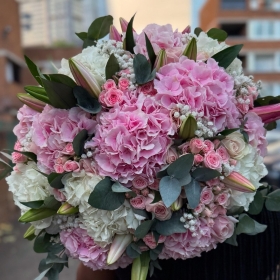 Blush and Ivory