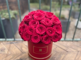 Luxury Red Naomi Rose Hatbox
