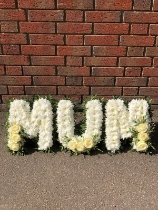 MUM Tribute   Foliage edge