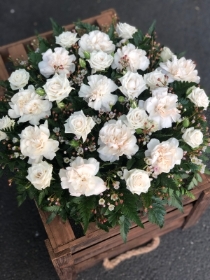 Spray roses, wax and carnations posy