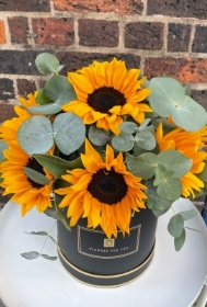 Sunflower Hatbox
